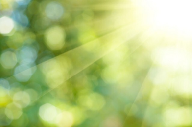 Natural outdoors bokeh background in green and yellow